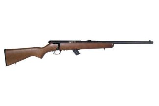Savage Arms SAV MARK II-GY 22LR BA 10RD B: 60703: 62654607035