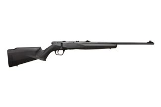 Savage Arms SAV B22F 22LR BA 10RD SYN: 70200: 62654702006