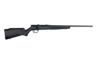 Savage Arms SAV B22MF BA RFL 22M 10RD: 70500: 62654705007