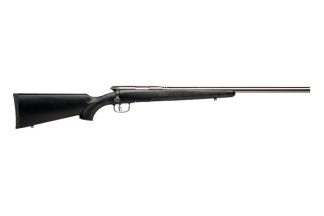 Savage Arms SAV B.MAG 17WSM BA SYN 8RD SS: 96915: 11356969156