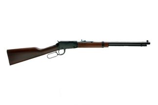 Henry Repeating Arms HEN LVR 17HMR 20IN OCTGN BBL: H001TV: 619835011015