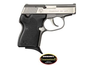 North American Arms NAM GUARDIAN 380DAO PST 6RD SS: NAA-380GUARDIAN: 744253000942